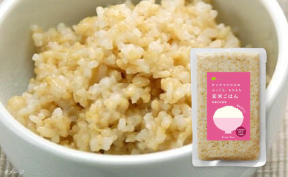 CHAYAマクロビ「シチュー3種＆玄米ごはん2種セット」