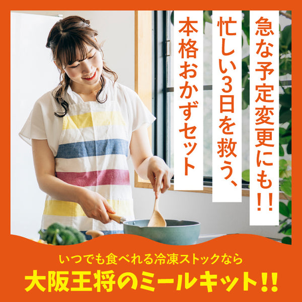 大阪王将「サクッと！お試しミールキット4人前」