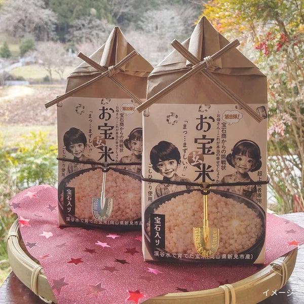 岡山県産「こしひかり お宝米2袋・お宝玄米2袋」