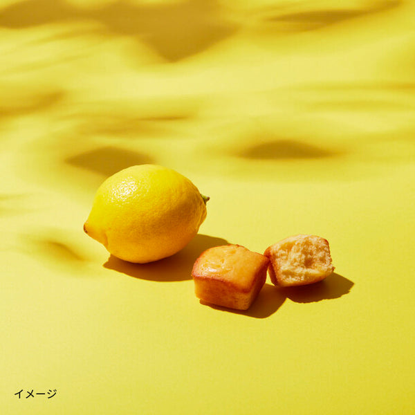 MILK STAR「レモンマドレーヌ」