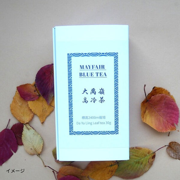 MAYFAIR BLUE TEA「大禹嶺高冷茶 リーフティー」