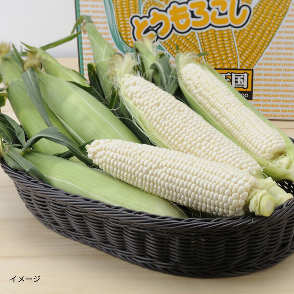 北海道産「ホワイトコーン」