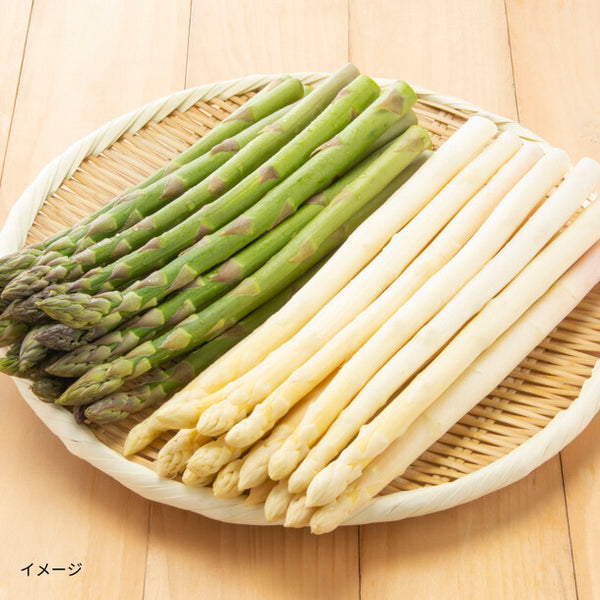 北海道産「グリーン＆ホワイトアスパラセット 2Lサイズ」