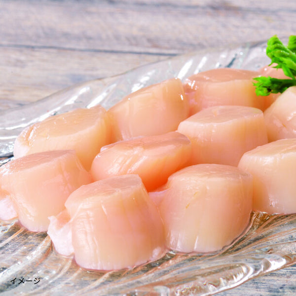 オホーツク産「訳あり帆立（生食用）」