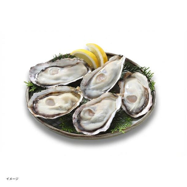 兵庫県産「超高圧殻付きかき Sサイズ」