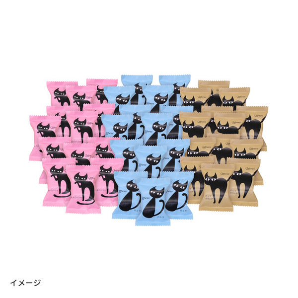 「プチチョコアイス AH-EPS」