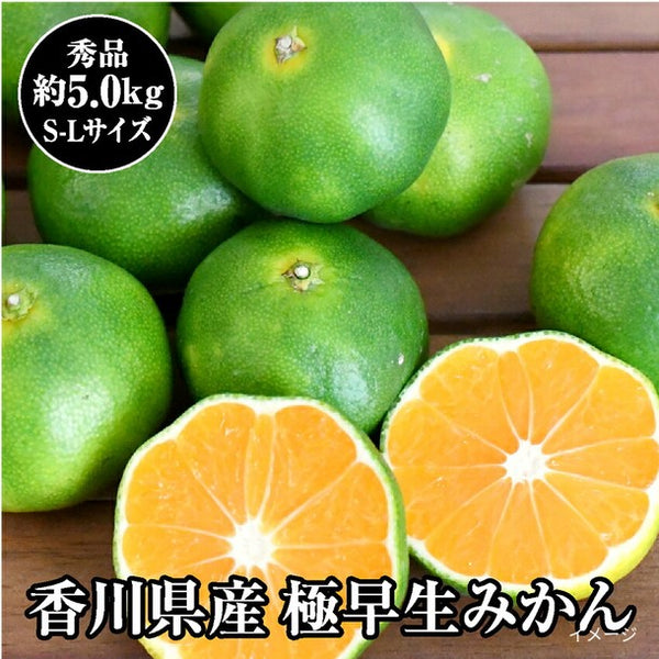 香川県産「極早生みかん S～Lサイズ」