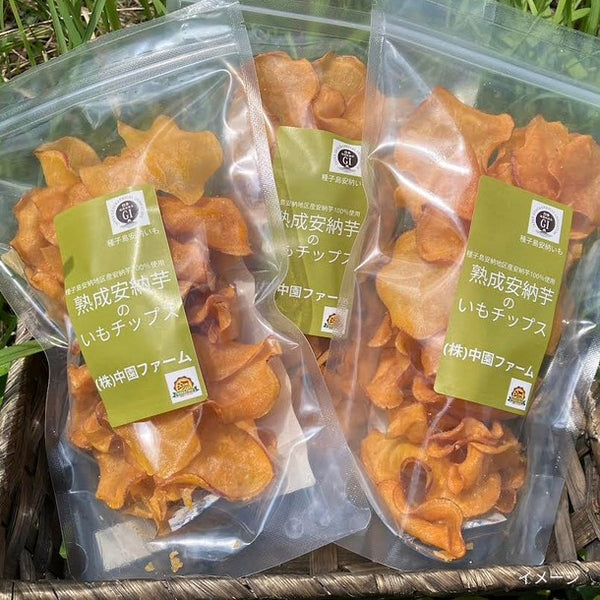 「中園ファームの熟成安納芋の黄金塩チップス」