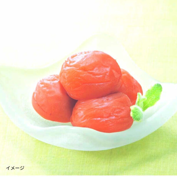 紀州産「やわらかドライフルーツ 梅の舞」