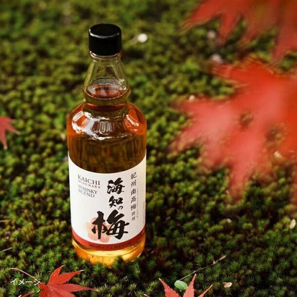 「海知の梅 ウイスキーブレンド梅酒」