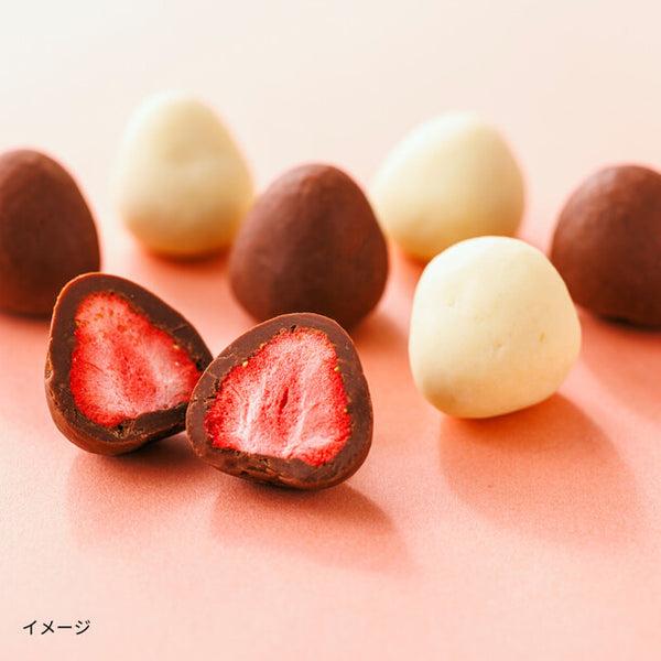 「2026バレンタイン まるごと苺チョコ」