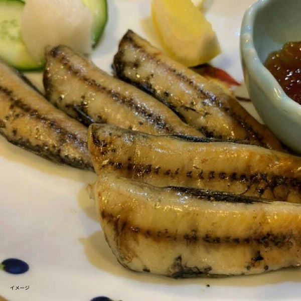 「ハダカイワシ干物」