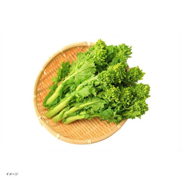 千葉県産「菜の花 60サイズ箱いっぱい」