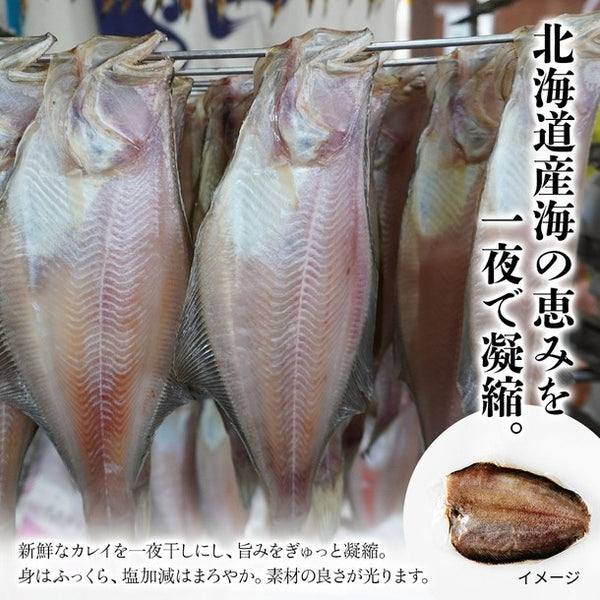 北海道産「特大ナメタカレイ一夜干し」