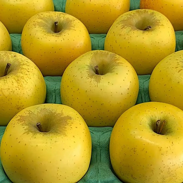 山形県産「りんご シナノゴールド 秀品」