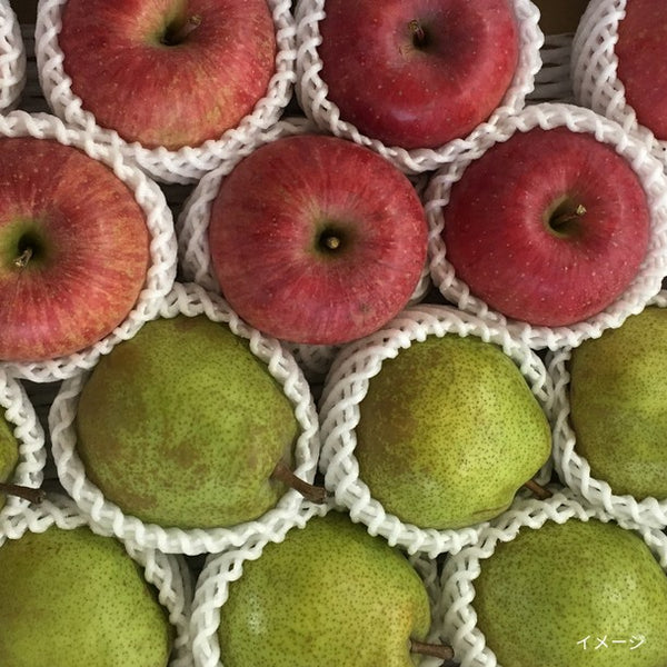 山形県産「秀品 ラ・フランス＆りんご詰合せ」