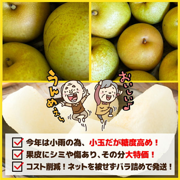 愛媛県産「特に訳あり和梨 小玉 加工用・ジュース用」