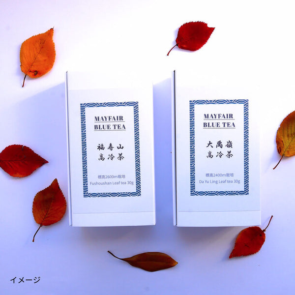 MAYFAIR BLUE TEA「大禹嶺高冷茶 リーフティー」