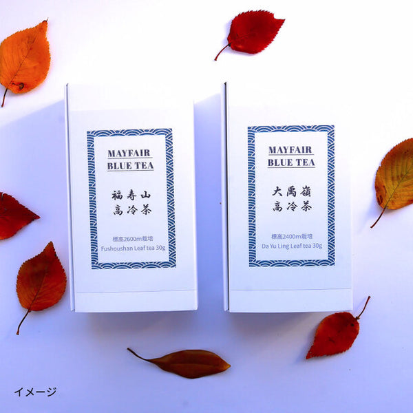 MAYFAIR BLUE TEA「福寿山高冷茶 リーフティー」