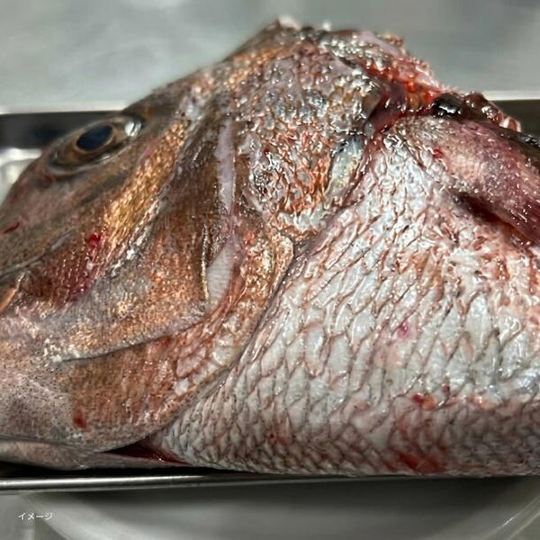 「鯛アラ 鯛カブトカマ付き」