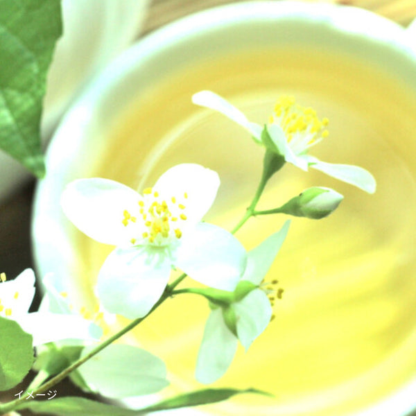 「インスタント ジャスミン茶」
