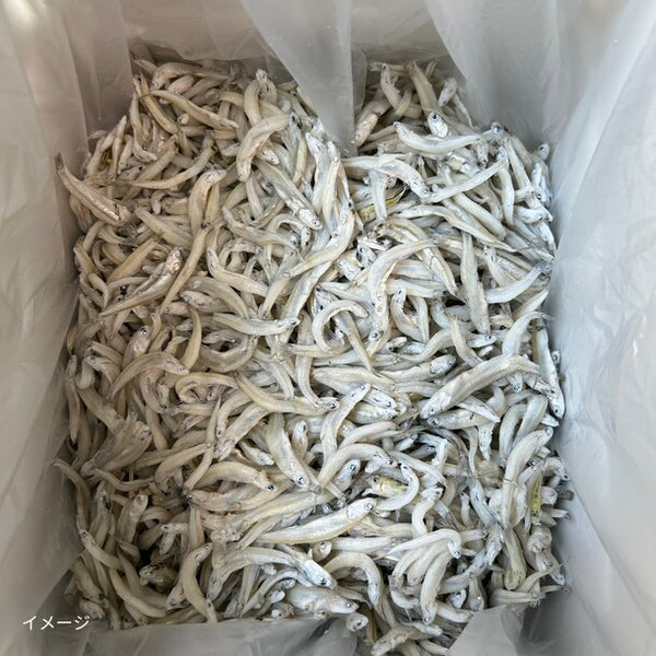 和歌山県産「しらす干し」