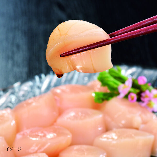 オホーツク産「訳あり帆立（生食用）」