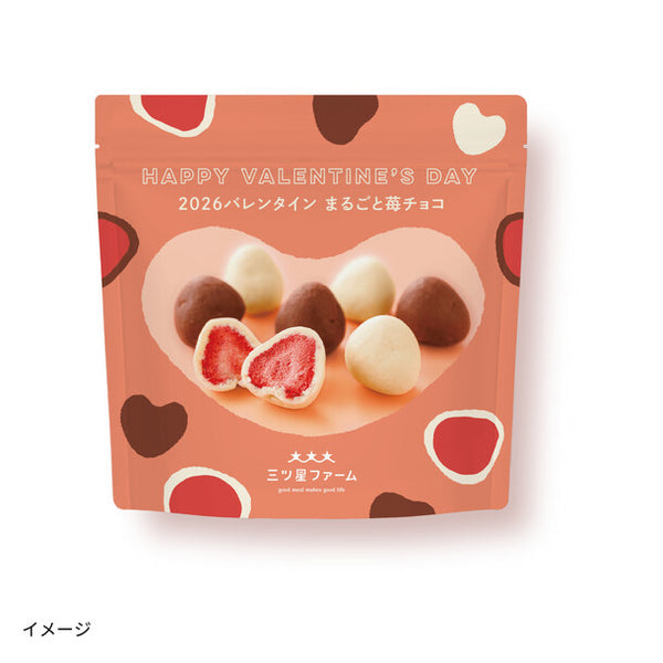 「2026バレンタイン まるごと苺チョコ」