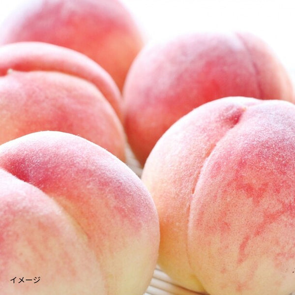 香川県産「秀品 桃 （5～8玉）」