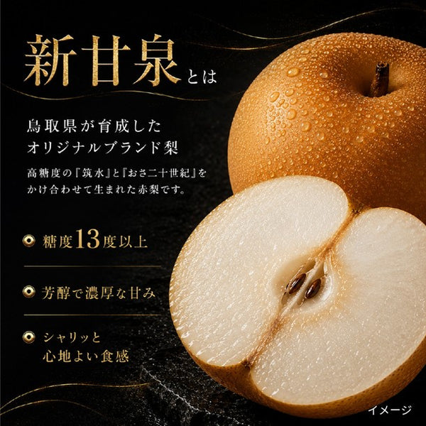 鳥取県産「梨 新甘泉（7-8玉入り）」