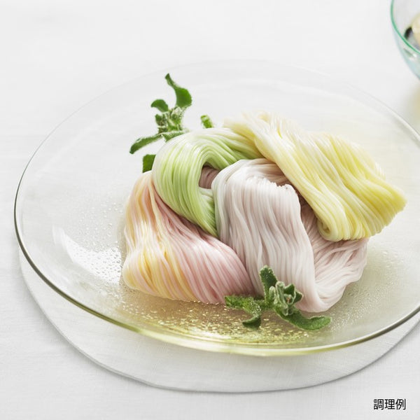 「彩り麺と讃岐素麺（SCM-30B）」