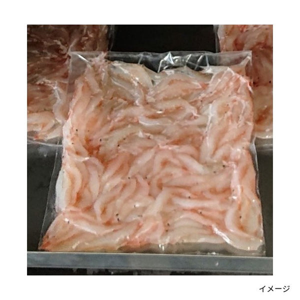 「富山湾水揚げ白エビ」