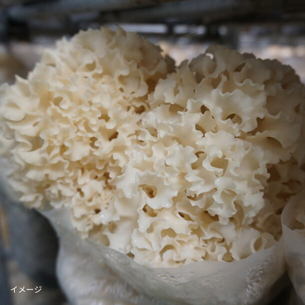 「花びら茸入り3種のきのこのお味噌汁」