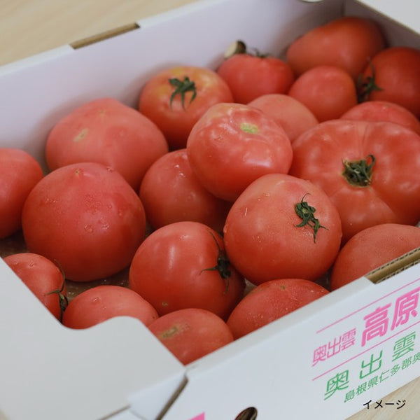 島根県産「訳あり・高原トマト」