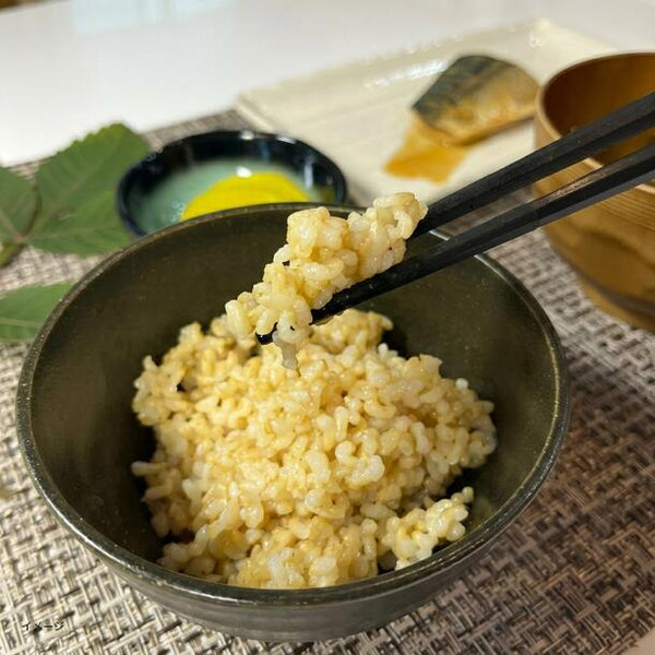 「だし飯缶」