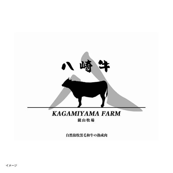 「九州産黒毛和牛 熟成リブロースステーキ」