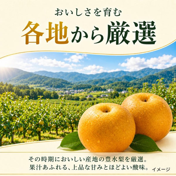 「産地リレー 梨 豊水」
