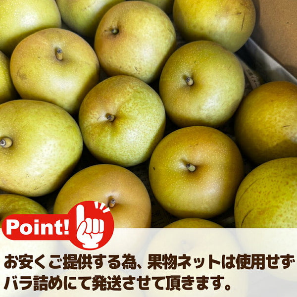 愛媛県産「特に訳あり和梨 小玉 加工用・ジュース用」