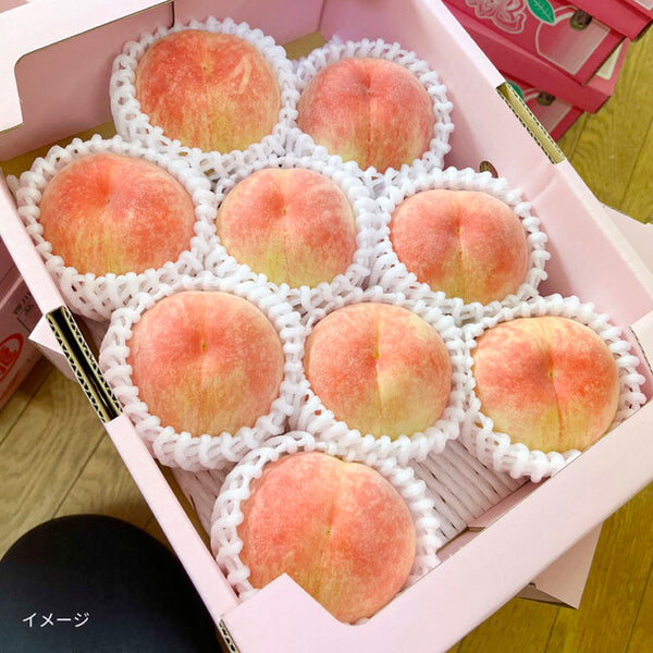 香川県産「もも（8-10玉）」