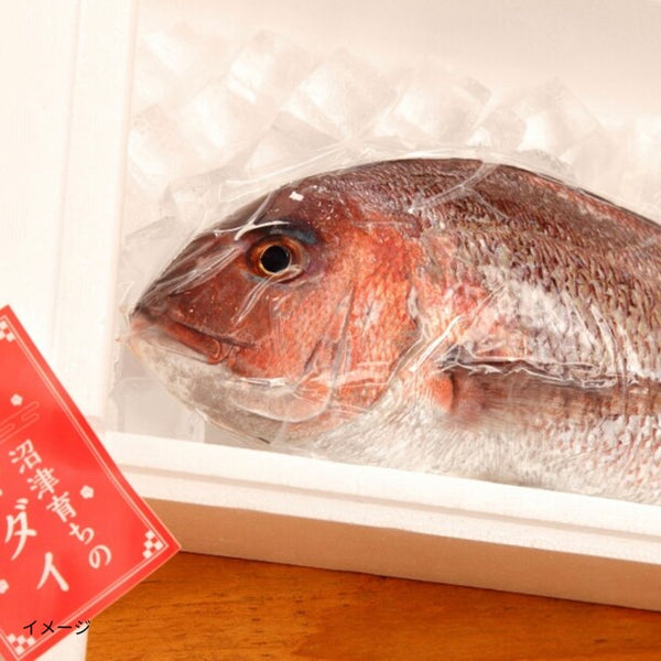 「鯛の漬け刺身」