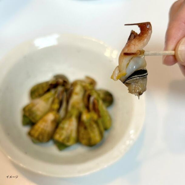 「チャンバラ貝」