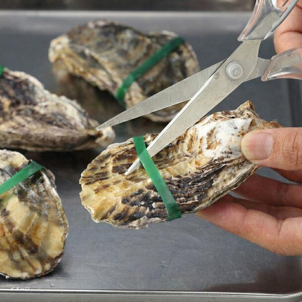 兵庫県産「超高圧殻付きかき Sサイズ」