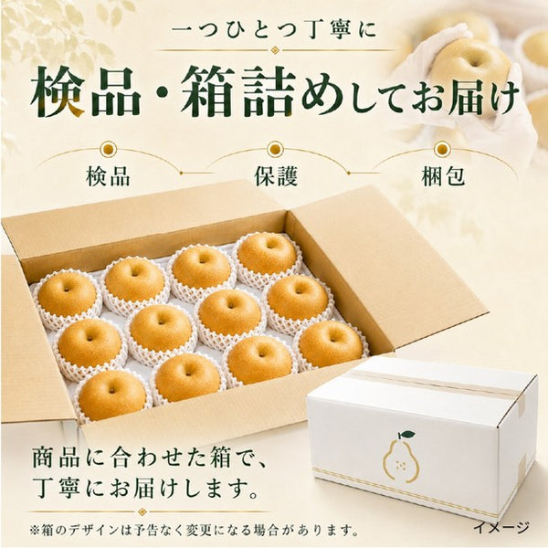 「産地リレー 梨 豊水」