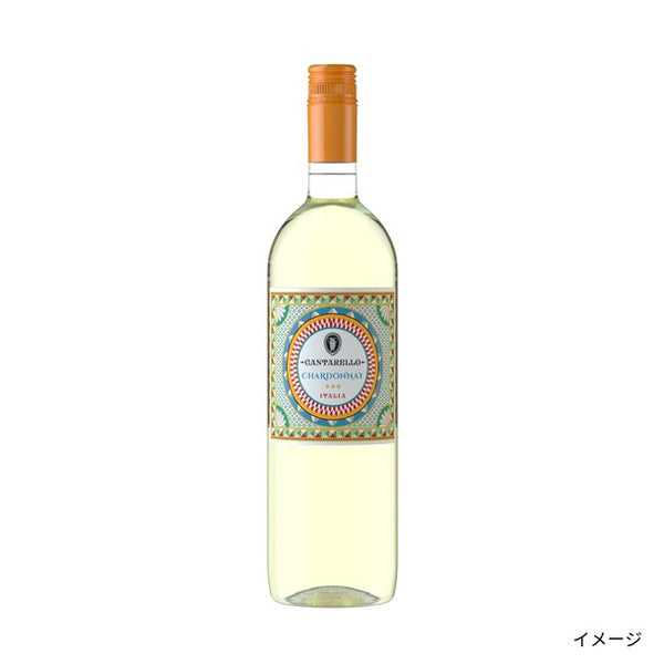 イタリア産「ランブルスコ白赤入り デイリーワインセット」