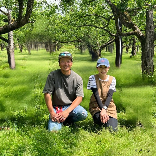 山形県産「ラ・フランス 秀品」