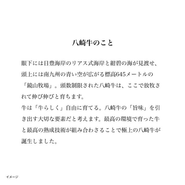 「九州産黒毛和牛 熟成リブロースステーキ」