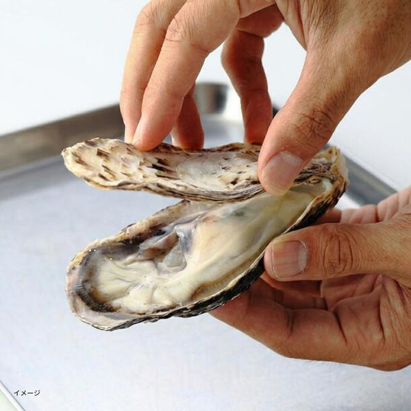 兵庫県産「超高圧殻付きかき Sサイズ」