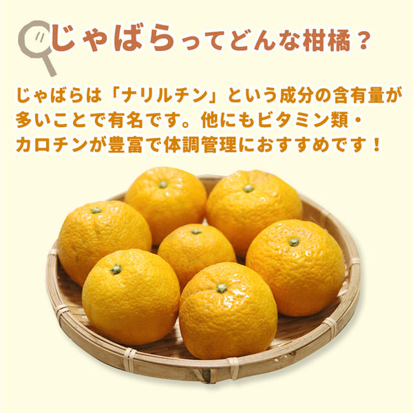「完熟じゃばら果汁」