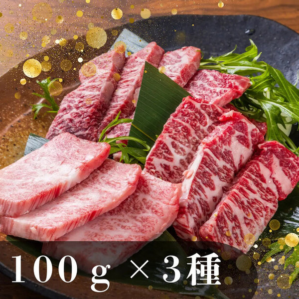 「仙台牛 焼き肉3種 食べ比べセット」