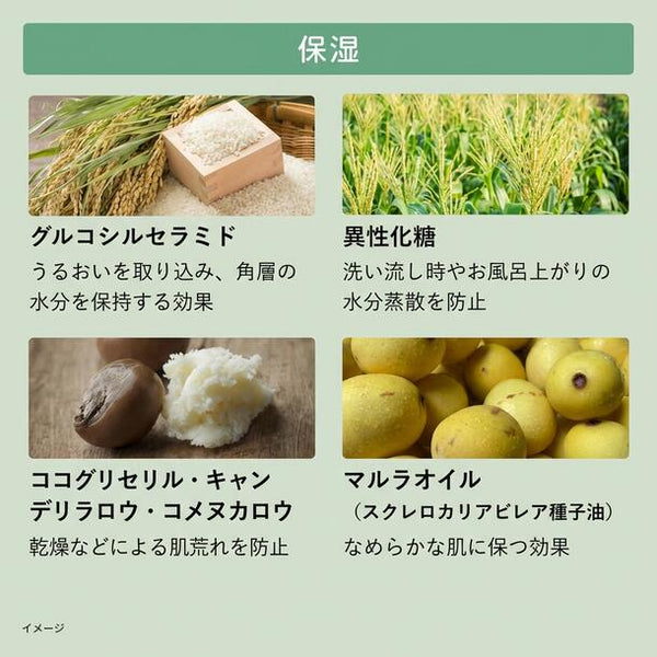 BOTANIST「ベビー ボタニカルベビーソープフォーム 詰替」